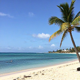 Caribbean Holidays, February Holidays, Sunny Cura&ccedil;ao beach with calm turquoise water, palm trees and relaxed holiday atmosphere in February