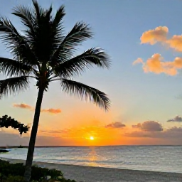 Caribbean Holidays, February Instagram Hotspots, Colourful sunset over Grace Bay in Turks and Caicos, palm silhouettes, calm Caribbean sea and warm evening light