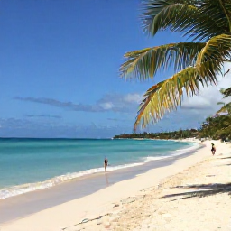 Caribbean Holidays, February Tours, Sunny Dominican Republic beach with turquoise water, palm trees and travellers exploring in February