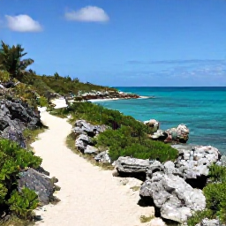 Caribbean Holidays, February Walking, A scenic coastal walking trail with turquoise water, low scrub and limestone rocks on Providenciales