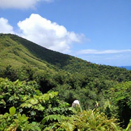 Caribbean Holidays, Grenada Nature Holidays, Friendly Grenadian guide leading visitors through a tropical forest near the coast, with lush hills and bright Caribbean sky