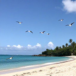 Caribbean Holidays, Guadeloupe Birdwatching, A peaceful coastal landscape on Grande-Terre, Guadeloupe, with seabirds flying above a sandy shore