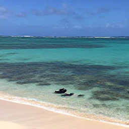 Caribbean Holidays, Guadeloupe January Holidays, A calm Guadeloupe beach with clear Caribbean water, snorkelling equipment and colourful fish visible near a coral reef