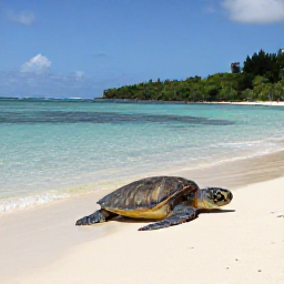 Caribbean Holidays, Guadeloupe Nature Holidays, Sea turtle on a quiet sandy beach in Guadeloupe, with clear Caribbean water and low green vegetation in the background