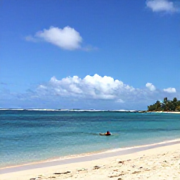 Caribbean Holidays, Guadeloupe Solo Holidays, Palm-fringed beach on Grande-Terre in Guadeloupe with a solo swimmer and calm Caribbean water