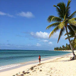Caribbean Holidays, Haiti Beach Holidays, A sunny Haitian beach in February with calm turquoise water, pale sand, palm trees and a relaxed traveller enjoying the shoreline