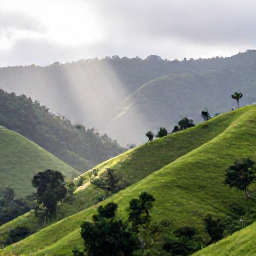Caribbean Holidays, Haiti Nature Holidays, Lush Haitian mountain landscape in August, with green hills, tropical trees and soft sunlight after a rain shower