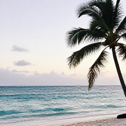 Caribbean Holidays, Haiti Solo Holidays, A relaxed solo traveller enjoying a quiet tropical beach in Haiti during August, with clear water, palm trees and soft afternoon light