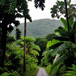 Caribbean Holidays, Jamaica in October, Lush Jamaican rainforest in October after a light tropical shower, with emerald hills, broad-leaved plants and a narrow path leading through the trees