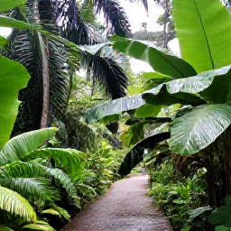 Caribbean Holidays, Jamaica in September, Lush Jamaican rainforest after a light tropical shower, with broad green leaves, filtered sunlight and a quiet walking trail