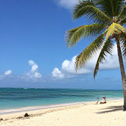 Caribbean Holidays, Jamaica Multi-Country, A sunny Jamaican beach with turquoise sea, palm trees and a relaxed January holiday atmosphere