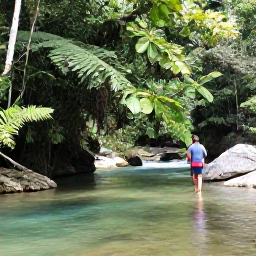 Caribbean Holidays, Jamaica Nature Holidays, Visitors walking beside a clear Jamaican river beneath rainforest canopy, with rocks and tropical plants