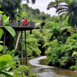 Caribbean Holidays, Jamaica Safari Holidays, A guided safari through Jamaican rainforest, showing tropical plants, a small river and guests watching birds and wildlife from a safe viewing point