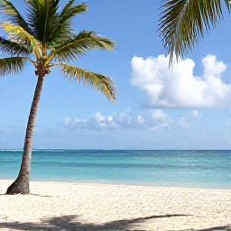 Caribbean Holidays, Jamaica Safari Holidays, Relaxed Jamaican beach near a safari destination with palm trees and calm turquoise water