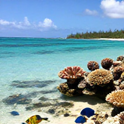 Caribbean Holidays, January Adventures, Snorkeller viewing colourful fish and coral in crystal-clear Bahamian water near a sandy beach