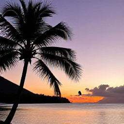 Caribbean Holidays, January Birdwatching, A colourful Caribbean sunset over a calm bay, with silhouettes of palm trees and a small bird on a branch in the United States Virgin Islands