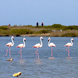 Caribbean Holidays, January Birdwatching, Birdwatchers observing flamingos and wading birds around a calm Caribbean lagoon in Aruba