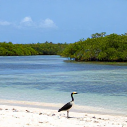 Caribbean Holidays, January Birdwatching, Peaceful tropical birdwatching scene beside a Caribbean beach and mangrove lagoon in January