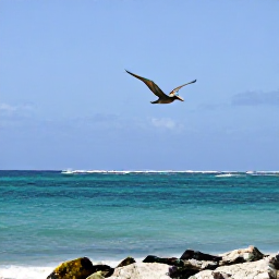 Caribbean Holidays, January Birdwatching, Quiet Cura&ccedil;ao coastline with a brown pelican gliding over turquoise water and rocky shore