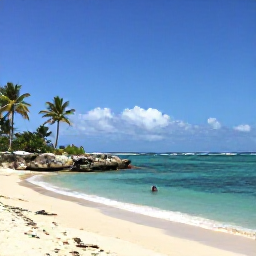 Caribbean Holidays, January Diving, Relaxed Caribbean beach beside a protected bay on St John, with palm trees, snorkellers and calm turquoise water