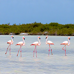 Caribbean Holidays, January Nature Holidays, Roseate flamingos wading through shallow water at a Turks and Caicos salt pond, with mangroves and a clear blue sky