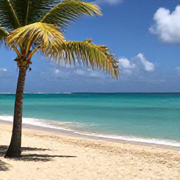 Caribbean Holidays, January Tours, Sunny Caribbean beach on Saint Martin in January, with turquoise water, palm trees and a relaxed holiday atmosphere