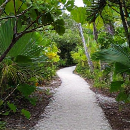 Caribbean Holidays, January Walking Holidays, A peaceful nature trail through scrub and coastal woodland in Chalk Sound National Park, Turks and Caicos Islands