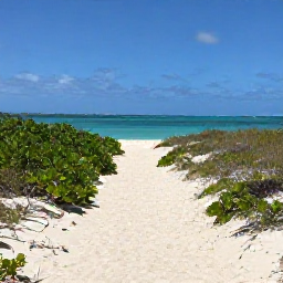 Caribbean Holidays, January Walking Holidays, A sunny coastal walking trail beside turquoise water on Providenciales, Turks and Caicos Islands, with pale sand and low tropical vegetation