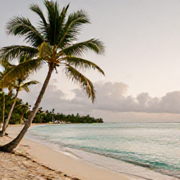 Caribbean Holidays, January Wellness, A calm Caribbean beach on Saint Kitts with palm trees, gentle turquoise water and a peaceful early morning atmosphere