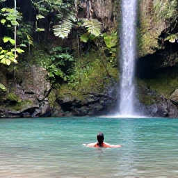 Caribbean Holidays, July Backpacking, Backpacker swimming in a clear Caribbean waterfall pool surrounded by lush rainforest and tropical plants