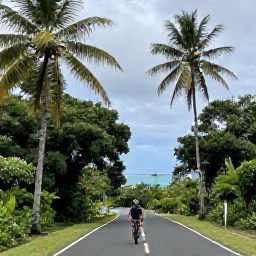Caribbean Holidays, July Cycling Holidays, A cyclist on a quiet road in Tobago, with palm trees, rainforest and a glimpse of the Caribbean coastline