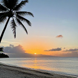 Caribbean Holidays, July Scuba Diving, Relaxed Caribbean beach at sunset on Tobago with palm trees and calm sea