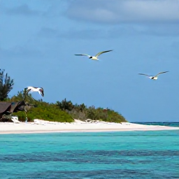 Caribbean Holidays, June Birdwatching, Roseate terns and brown pelicans flying over calm turquoise water beside a sandy island in the Turks and Caicos Islands