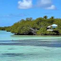 Caribbean Holidays, June Birdwatching, Roseau Pond nature reserve on Sint Maarten with mangroves, shallow water and wading birds under a sunny June sky