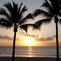 Caribbean Holidays, June Instagram Hotspots, Sunset over a Dominican Republic beach with palm silhouettes, calm sea and golden evening sky