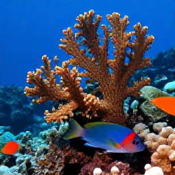 Caribbean Holidays, June Scuba Diving, Close-up underwater scene of colourful reef fish, sea fans and coral around a Saint Kitts dive site