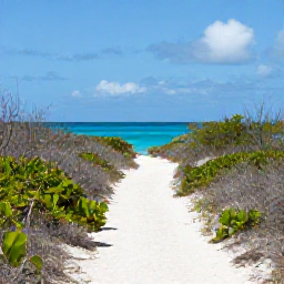 Caribbean Holidays, June Walking Holidays, A peaceful coastal path through dry island vegetation beside bright blue sea on Providenciales, Turks and Caicos