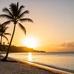 Caribbean Holidays, Luxury Saint Martin, Golden sunset over a Caribbean beach in Sint Maarten with palm trees and calm sea