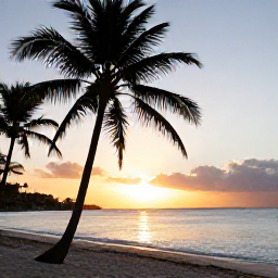 Caribbean Holidays, March Holidays, Golden Caribbean sunset over Saint Martin beach with palm silhouettes and calm sea
