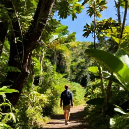 Caribbean Holidays, Martinique Adventure, A hiker walking through lush tropical forest on Mount Pel&eacute;e in Martinique beneath a clear March sky