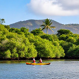 Caribbean Holidays, Martinique Adventure, Sea kayakers paddling beside bright green mangroves and calm lagoons in Martinique, with tropical sunlight and distant hills
