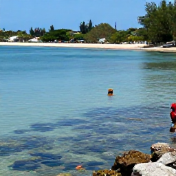 Caribbean Holidays, Martinique April Holidays, Visitors snorkelling in calm clear Caribbean water near Martinique, with colourful fish, coral and a sandy beach visible in the background