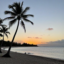 Caribbean Holidays, Martinique Diving July, Relaxed Martinique coastline at sunset with palm trees, a sandy beach and calm Caribbean Sea