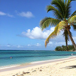 Caribbean Holidays, Martinique February Tours, Sunny Martinique beach in February with turquoise water, palm trees and a relaxed Caribbean atmosphere