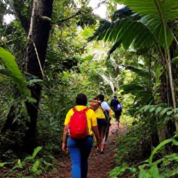Caribbean Holidays, Martinique in April, Hikers walking through tropical rainforest on Mount Pel&eacute;e, Martinique