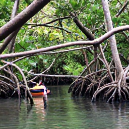 Caribbean Holidays, Martinique Nature Holidays, Kayakers exploring a quiet mangrove lagoon in Martinique, with tangled roots, calm water and tropical greenery