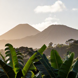 Caribbean Holidays, Martinique Nature Holidays, Lush Martinique rainforest in August with broad tropical leaves, volcanic hills and soft morning light