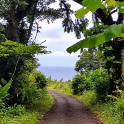 Caribbean Holidays, Martinique Wellness, A quiet coastal trail through lush Martinique rainforest leading to a scenic viewpoint over the Caribbean Sea