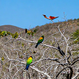 Caribbean Holidays, May Birdwatching, Colourful Caribbean birds resting in dry woodland and scrub on Saint Barth&eacute;lemy, with a clear blue sky and distant hills
