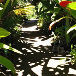 Caribbean Holidays, May Walking Holidays, A shaded Caribbean walking trail on Saint Barth&eacute;lemy with a water bottle, comfortable walking shoes and tropical foliage